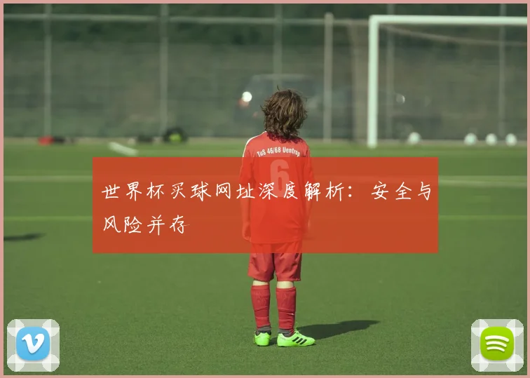 世界杯买球网址深度解析：安全与风险并存